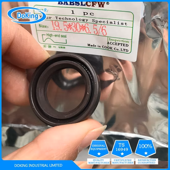 Retentor de óleo PTFE padrão NBR de alta pressão