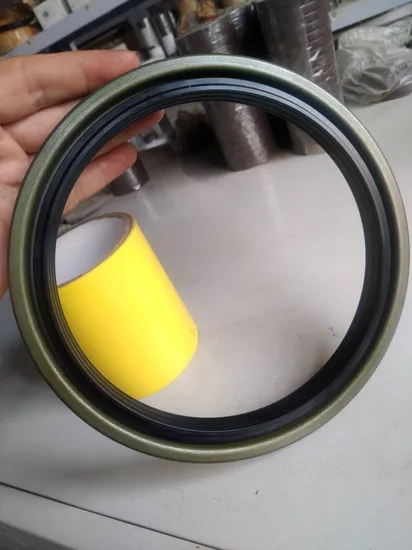 Material NBR+PTFE China Eixo radial de segurança O-ring de borracha Retentor de óleo/Retentor de borracha/Retentor de lábio/Retentores de óleo/Retentores