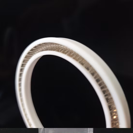 Vedações de mola de PTFE Variseal