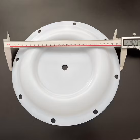 Fornecimento direto da fábrica 00-1030-55 PTFE Diafragma de ar Bomba de diafragma Peça de reposição