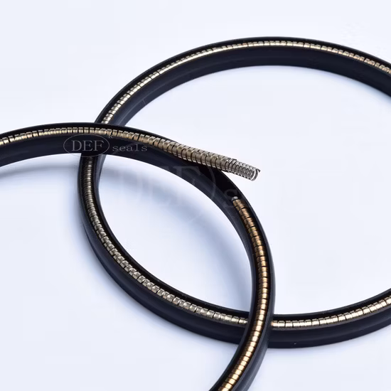 SS304 PTFE Vedações Energizadas de Mola Personalizadas Usadas na Marinha